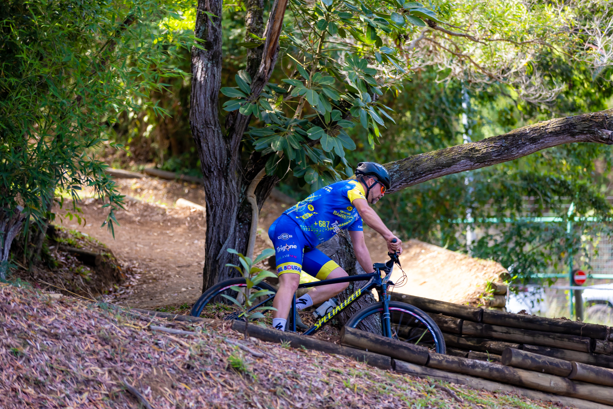 vélo forêt